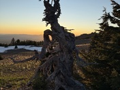 Crater Lake National Park 