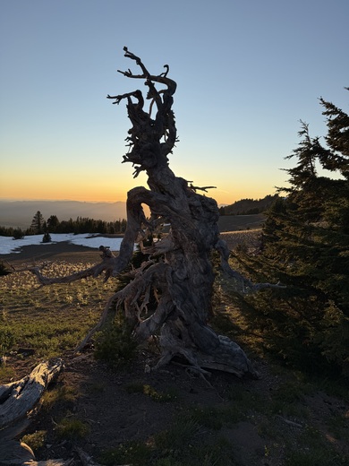 Crater Lake National Park 