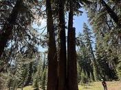 Crater Lake National Park 