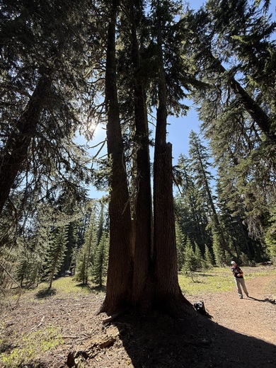Crater Lake National Park 