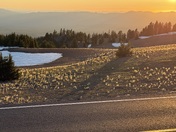 Crater Lake National Park 