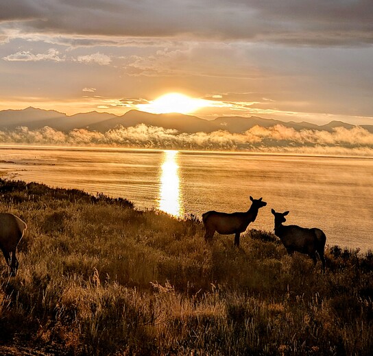 Yellowstone National Park