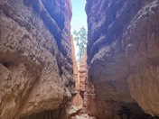 Bryce Canyon National Park