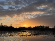 Okefenokee National Wildlife Refuge 