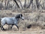 Theodore Roosevelt National Park