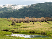 Yellowstone National Park 