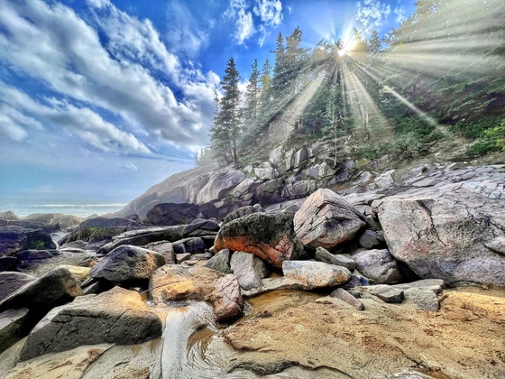 Acadia National Park 