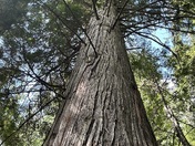 Glacier National Park 