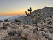 Joshua Tree National Park