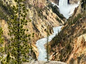 Yellowstone National Park- lower falls