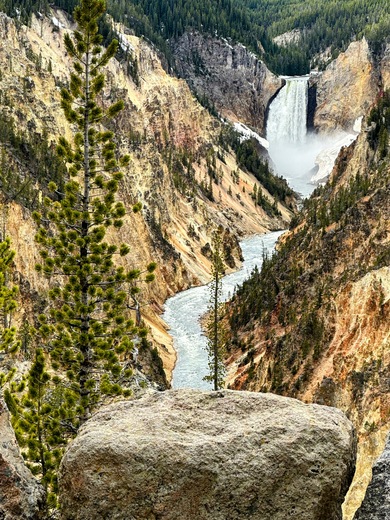 Yellowstone National Park- lower falls