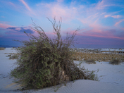White Sands National Park