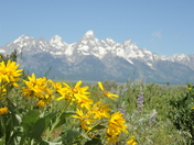 Grand Teton National Park