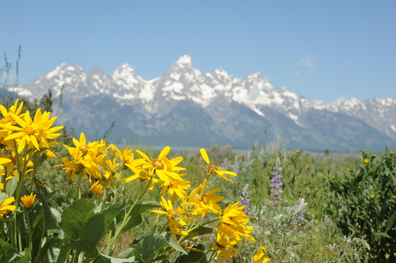 Grand Teton National Park