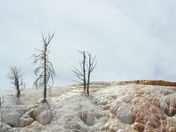 Yellowstone National Park 