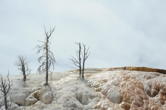 Yellowstone National Park 