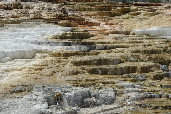 Yellowstone National Park 