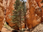Bryce Canyon National Park 
