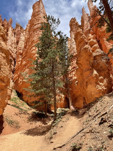 Bryce Canyon National Park 