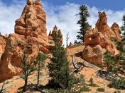 Bryce Canyon National Park 