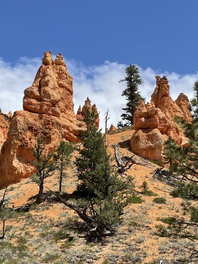 Bryce Canyon National Park 