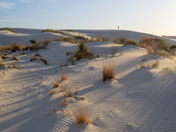 White Sands National Park