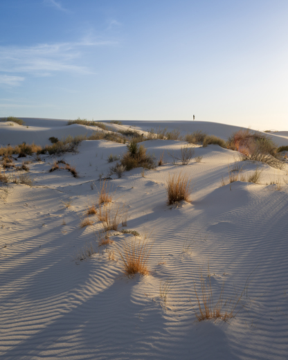 White Sands National Park