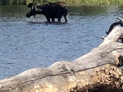 Rocky Mountain National Park