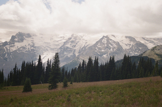 Mount Rainier National Park 