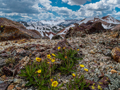 Uncompahgre National Forest 
