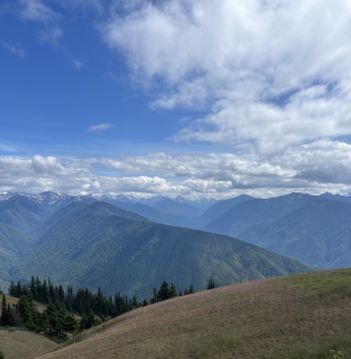 Olympic National Park