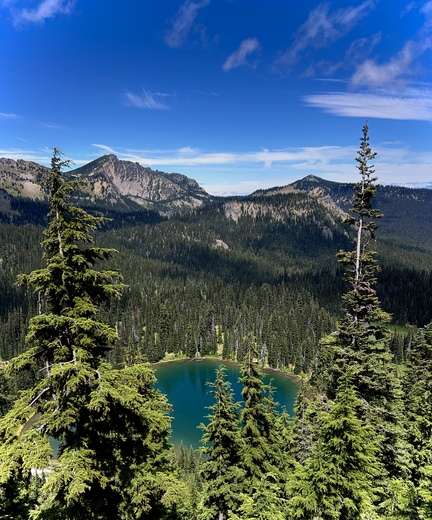 Mount Rainier National Park 