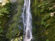 Olympic National Park 