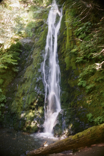 Olympic National Park 