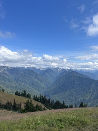 Olympic National Park 