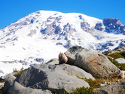 Mount Rainier National Park