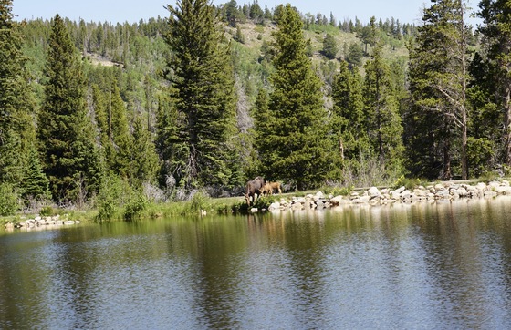 Rocky Mountain National Park, Sprague Lake