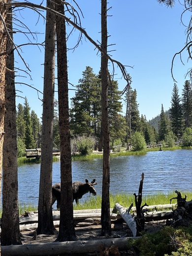 Rocky Mountain National Park, Sprague Lake