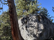 Sequoia and Kings Canyon National Park