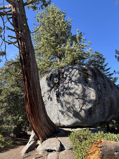 Sequoia and Kings Canyon National Park