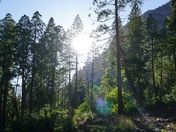 Sequoia and Kings Canyon National Park