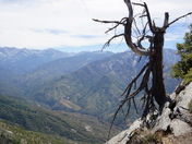 Sequoia and Kings Canyon National Park