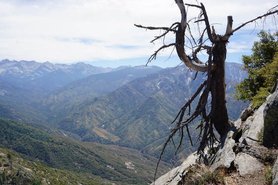 Sequoia and Kings Canyon National Park