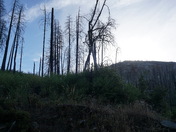 Sequoia and Kings Canyon National Park 