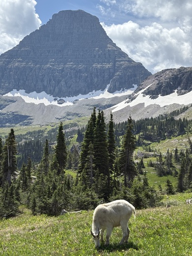 Glacier National Park