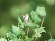 And She is Off Again