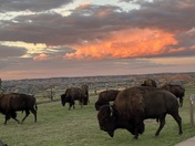 Theodore Roosevelt National Park