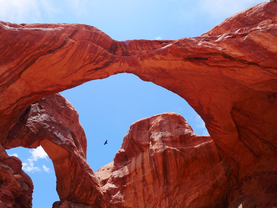 Arches National Park