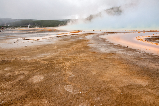 Yellowstone National Park 