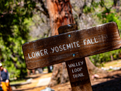 Yosemite National  Park